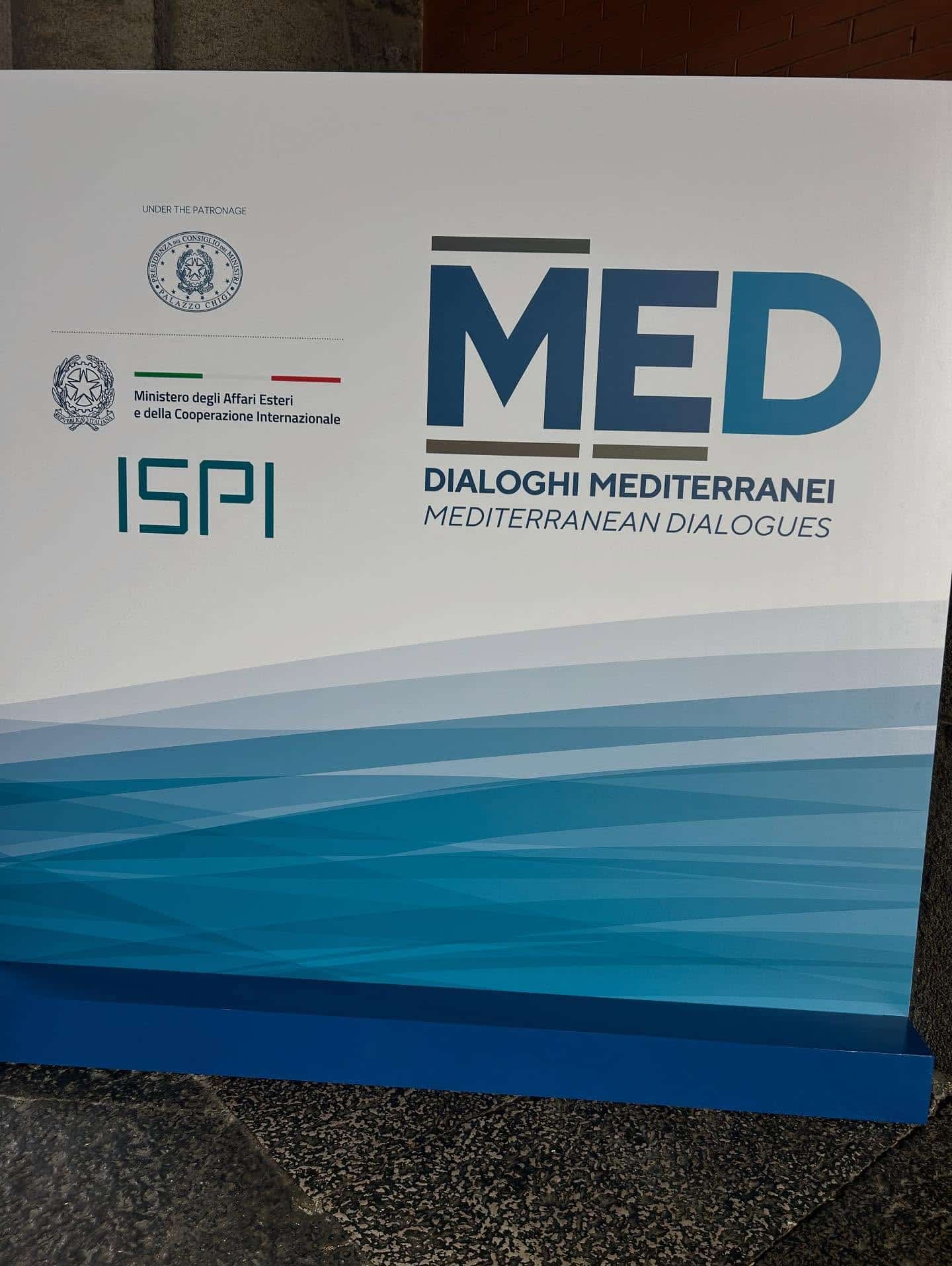 Panel Discussion at MED 2025